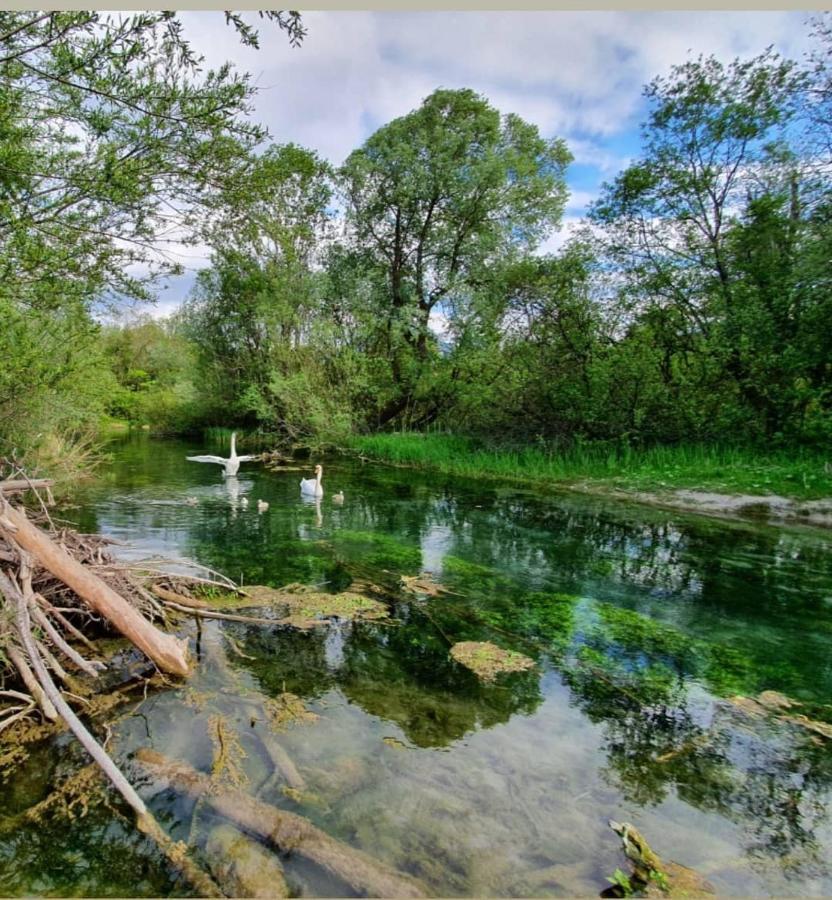 Appartamento Panoramablick Breitenwang Esterno foto